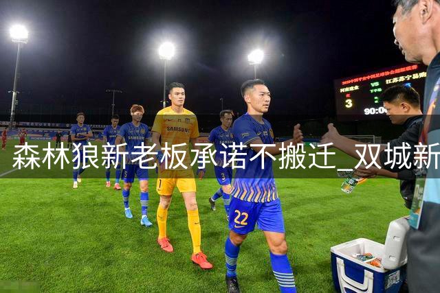 森林狼新老板承诺不搬迁 双城新球馆计划持续推进