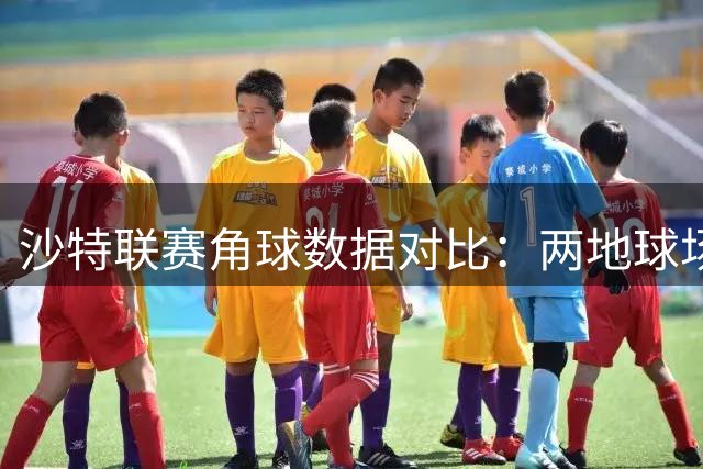 沙特联赛角球数据对比：两地球场风格迥异