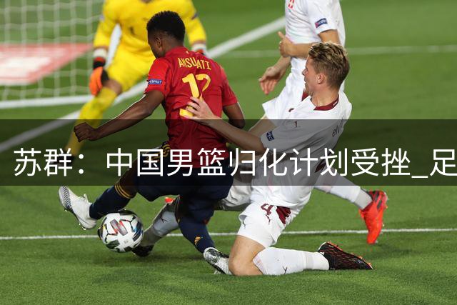 苏群：中国男篮归化计划受挫 足球归化失败波及篮球发展